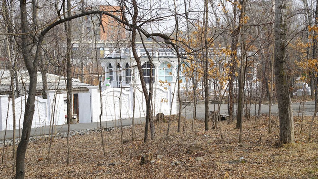 В Хабаровском инвестрам предложили заняться парком «Северный»
